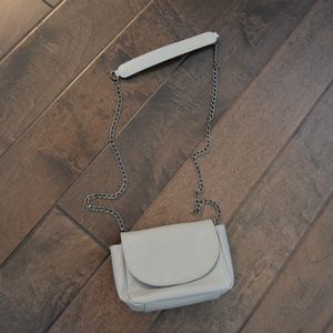 Light Gray Purse